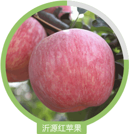 ��Դ�t�O��